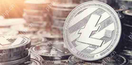 一文了解加密货币etf将迎爆发潮?分析师预估sec核准莱特币现货etf机率高达90%